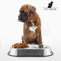 Pet Prior Pet Food & Water Bowl