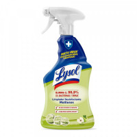 Disinfectant Spray Lysol Multi-use Fresh (1000 ml)