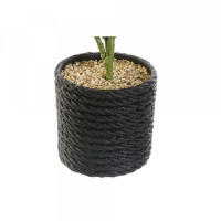 Decorative Plant DKD Home Decor Black Green PVC EVA (16 x 18 x 32 cm)