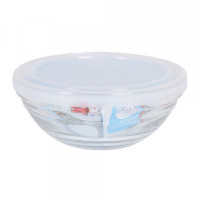 Bowl Freshbox Transparent With lid (23 cm)