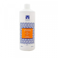 Shampoo Bassic Valquer Vitamin B5 (1000 ml)