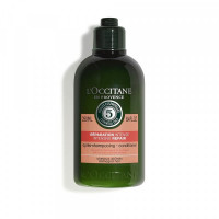 Restorative Shampoo L´occitane Aromachology (250 ml)
