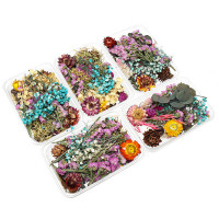1 Box Real Dried Flower Plants Aromatherapy Candle Soap Flower Epoxy Resin Pendant Necklace Jewelry Making Craft DIY Accessories