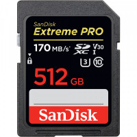 SD Memory Card SanDisk SDSDXXY-512G-GN4IN 512GB