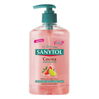 Hand Soap Dispenser Antibacterias Kitchen Sanytol (250 ml)