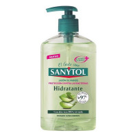 Hand Soap Dispenser Antibacterias Sanytol (250 ml)