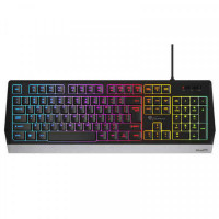 Gaming Keyboard Genesis RHOD 300 RGB Black