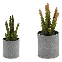 Plant pot Small Cactus (7,5 x 19 x 7,5 cm)