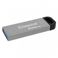 Pendrive Kingston DTKN/256GB USB 3.2 Silver 256 GB