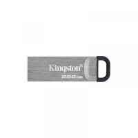 Pendrive Kingston DTKN/256GB USB 3.2 Silver 256 GB