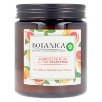 Scented Candle Botanica Air Wick Mint Grapefruit (205 g)