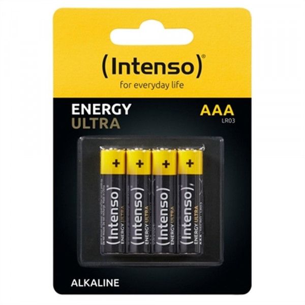 Batteries INTENSO 7501414