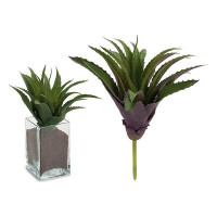 Decorative Plant (25 x 27 x 25 cm)