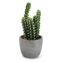 Decorative Plant Plastic Cactus