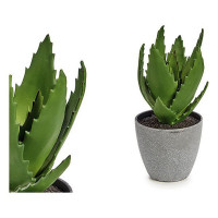 Decorative Plant Aloe Vera Plastic (14 x 20 x 14 cm)