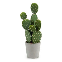 Cactus Plastic Cactus (13 x 40 x 12 cm)