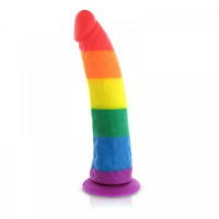 Silicone Rainbow Dildo Pride Dildo E26955