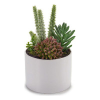 Decorative Plant Plastic (11 x 15 x 11 cm)
