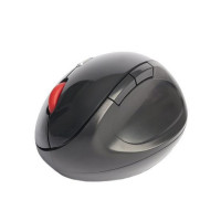 Wireless Mouse NGS EVOERGO Plug and play Black