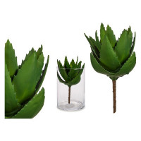 Decorative Plant Aloe Vera (14 x 23 x 14 cm)