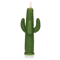 Candle Paraffin Cactus