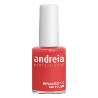 nail polish Andreia Nº 119 (14 ml)