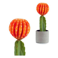 Cactus Orange Plastic Cactus (13 x 41 x 13 cm)