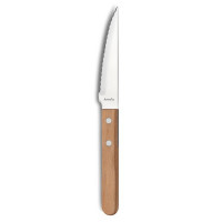 Knife for Chops Amefa Pizza Bois