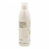 Shampoo Smothing Farmavita (250 ml)