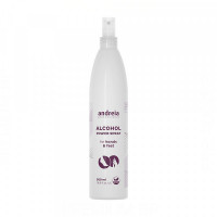 Disinfectant Power Spray Andreia (500 ml)