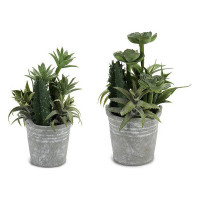 Decorative Plant Cactus Plastic Cement (15 x 24 x 15 cm)