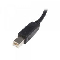 USB A to USB B Cable Startech USB2HAB5M            Black