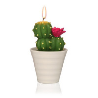 Candle Paraffin Cactus