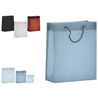 Bag Plastic Medium (8 x 27 x 23 cm)
