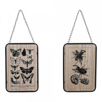 Painting DKD Home Decor Insects Black Metal MDF Wood (2 pcs) (20.5 x 1 x 32 cm)