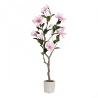 Decorative Plant DKD Home Decor Magnolia Polyethylene Dolomite (40 x 40 x 125 cm)