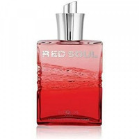 Men's Perfume Red Soul Men Euroluxe Paris (100 ml) EDP