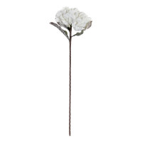 Decorative Flower DKD Home Decor Hydrangea EVA (Ethylvynilacetate)