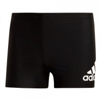 Men’s Bathing Costume Adidas FIT BX BOS DY5078 